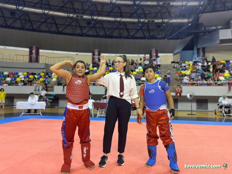 Karma Dövüş Sanatları