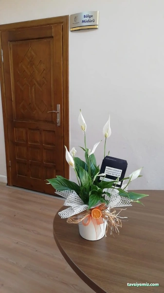 Karmen Çiçekçilik