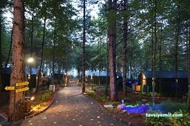 Kartepe Saklı Vadi Tıny House