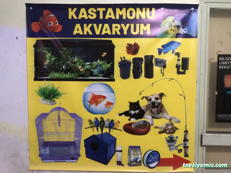Kastamonu Akvaryum