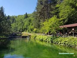 Kastamonu Baldiran Alabalik Lokantasi