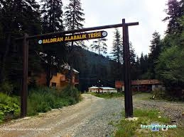 Kastamonu Baldiran Alabalik Lokantasi