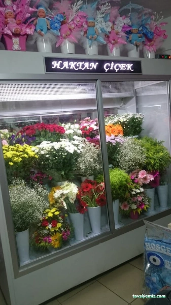 Kastamonu Haktan Çiçek