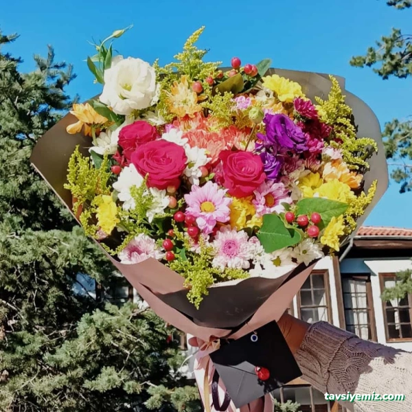 Kastamonu Haktan Çiçek