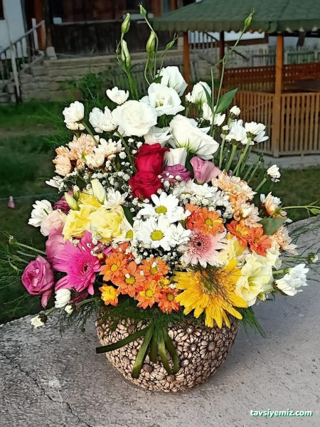 Kastamonu Haktan Çiçek