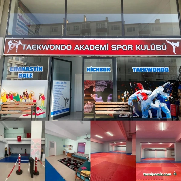 Kastamonu Taekwondo Akademi Spor Kulübü