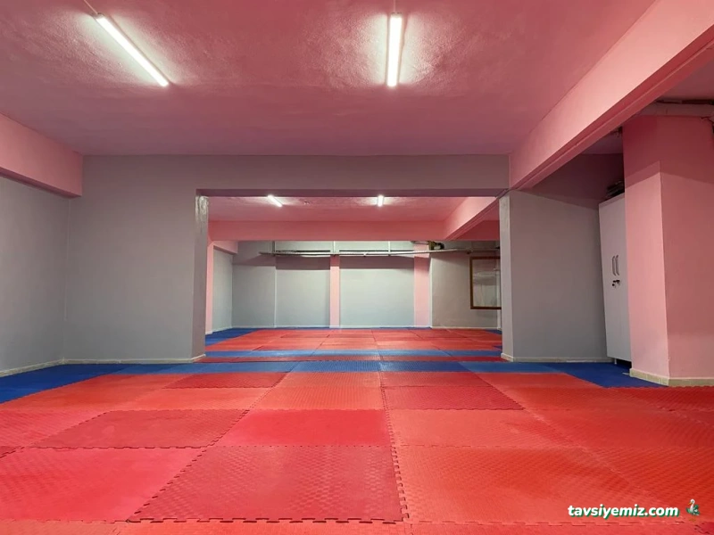 Kastamonu Taekwondo Akademi Spor Kulübü