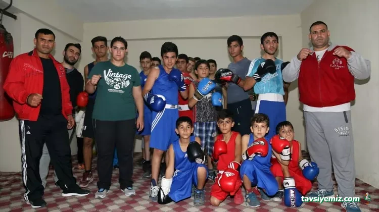 Kaya Boks Okulu
