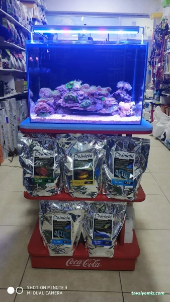 Kayahan Petshop (Akvaryum Balık Avm)