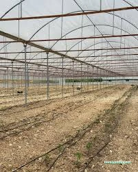 Kayaoğlu Seracılık