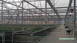 Kayaoğlu Seracılık