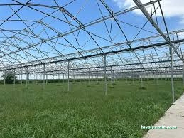 Kayaoğlu Seracılık