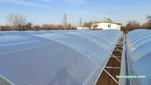 Kayaoğlu Seracılık