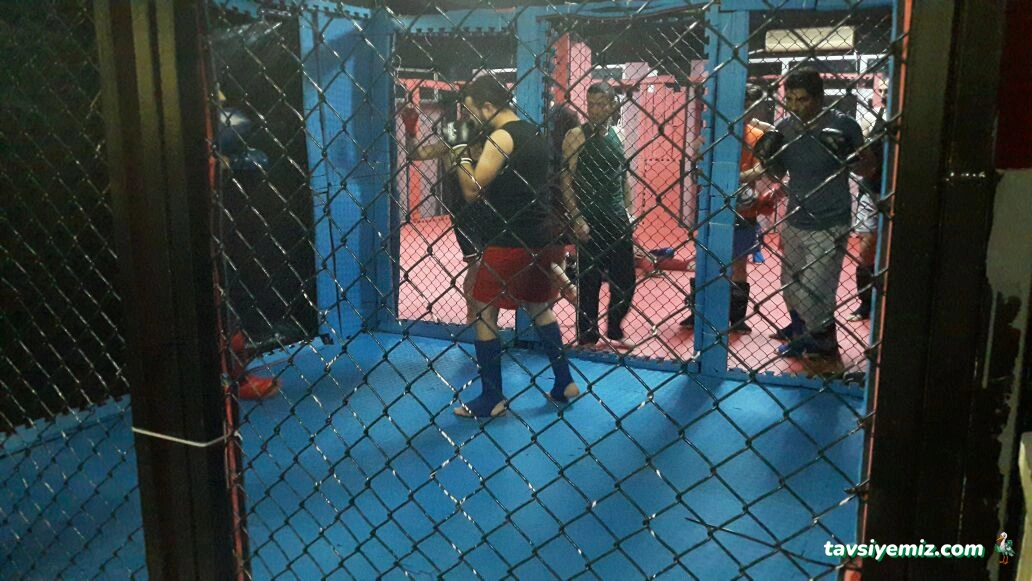 Kayın Spor Kulübü