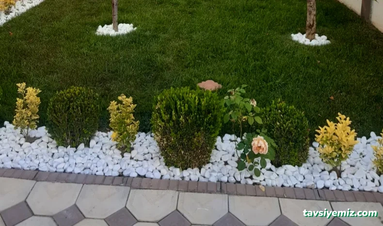 Kayra Peyzaj Ve Fidancılık