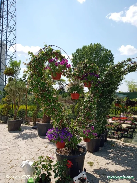 Kayra Peyzaj Ve Fidancılık