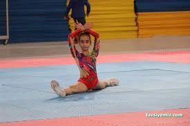 Kayseri Cimnastik Spor Kulübü