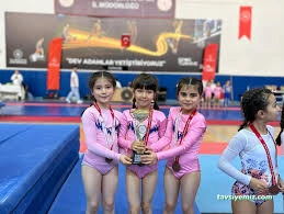 Kayseri Cimnastik Spor Kulübü