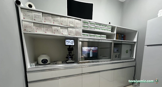 Kayseri Hospetal Veteriner Kliniği