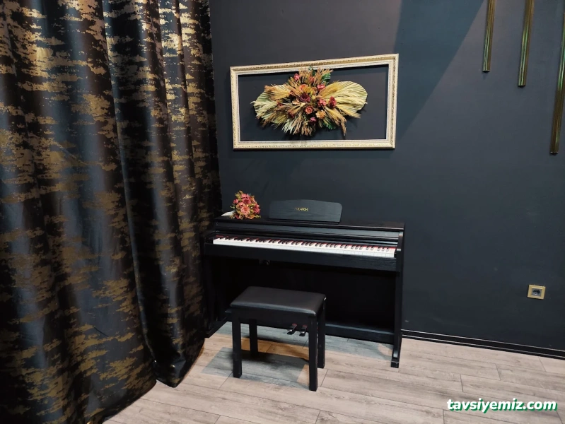 Kayseri Karaoke Piano Party House