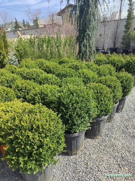 Kayseri Peyzaj Bahçe Düzenleme Garde The Garden