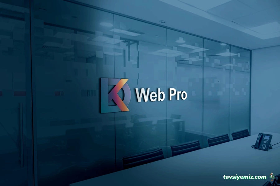 Kayseri Web Pro Danışmanlık