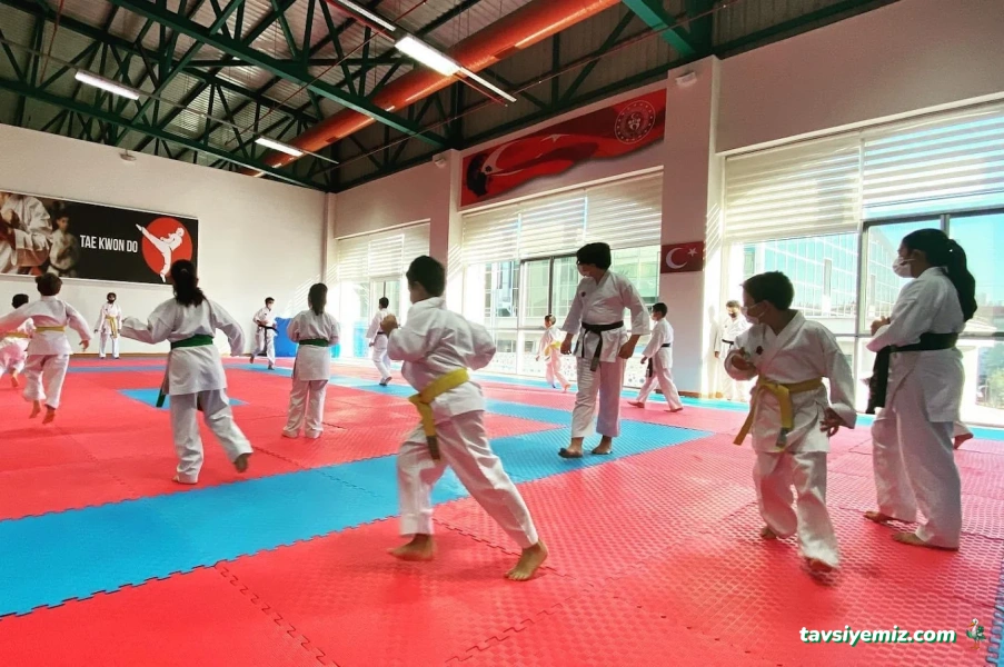 Kdz.ereğli Karate