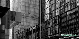 Kedi Sahaf Radyo Kafe