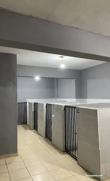 Kepez(Ahmet Işık) Veteriner Kliniği