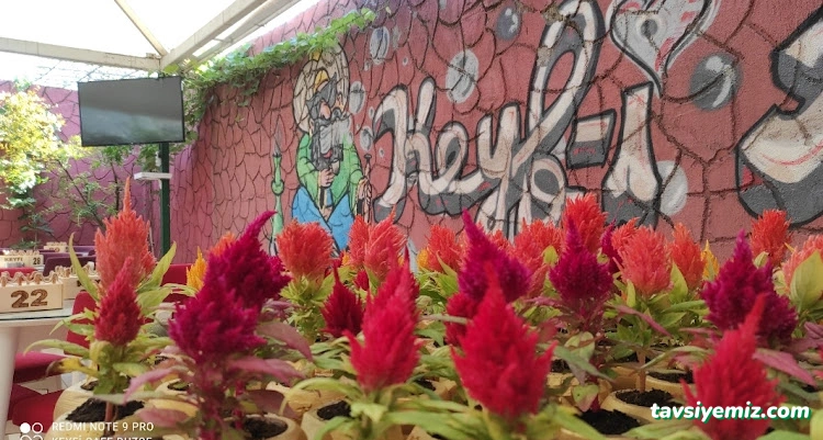 Keyfi Cafe Düzce, Nargile Salonu & Cafe