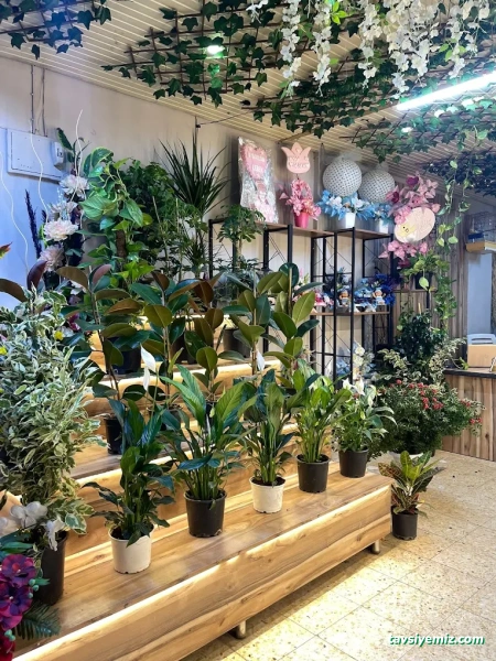 Kilis Neslihan Çiçek Galerisi Peyzaj Organizasyon