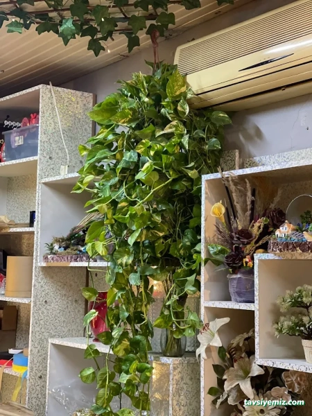 Kilis Neslihan Çiçek Galerisi Peyzaj Organizasyon