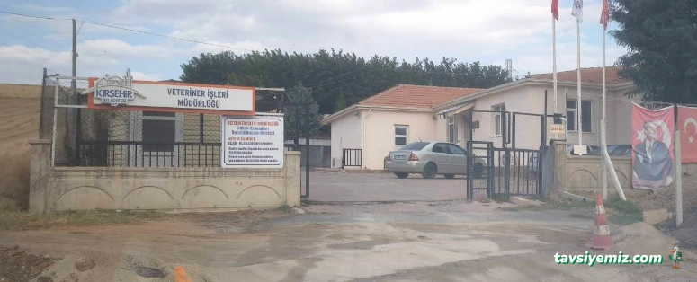 Kırşehir Belediyesi Veteriner İşleri Müdürlüğü