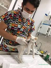 Kırşehir Yaşam Pet Veteriner Kliniği