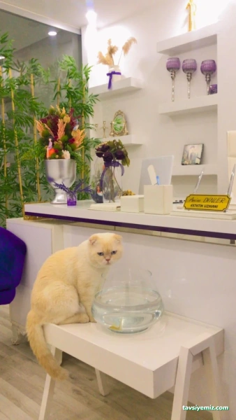 Klinik-E Güzellik Merkezi Cizre