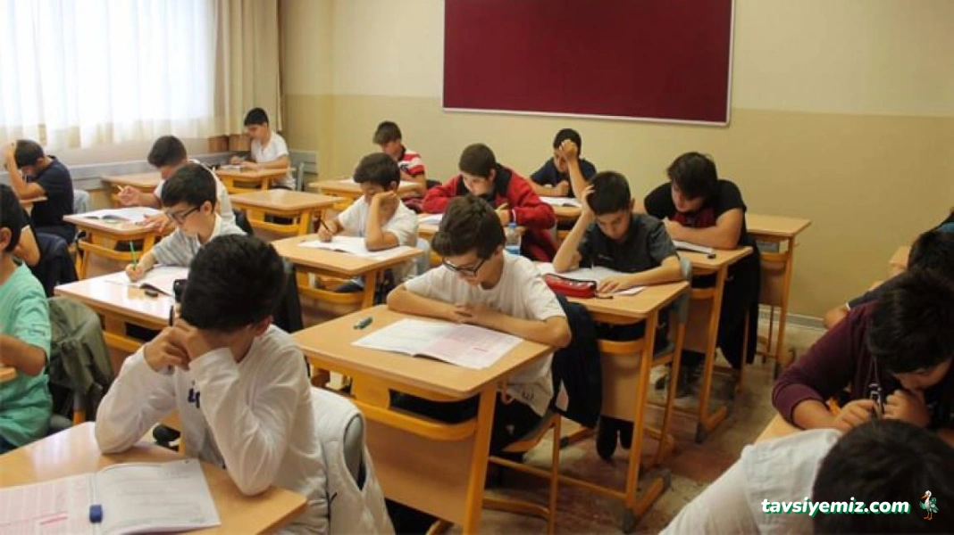 Koala Eğitim Koçluğu Ve Özel Ders Bürosu