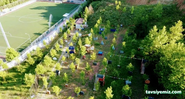 Kocaeli Paintball İzmit