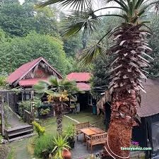 Komşu Cafe Restoran