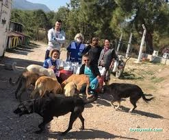 Konak Belediyesi Hayvan Sağlığı Merkezi