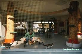 Konak Belediyesi Hayvan Sağlığı Merkezi