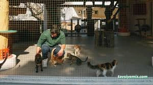 Konak Belediyesi Hayvan Sağlığı Merkezi