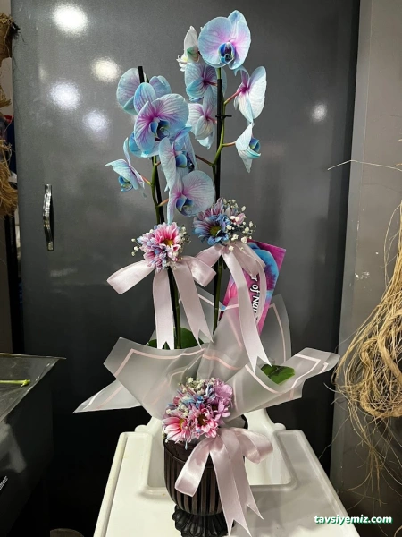 Konya Çiçek Dünyası