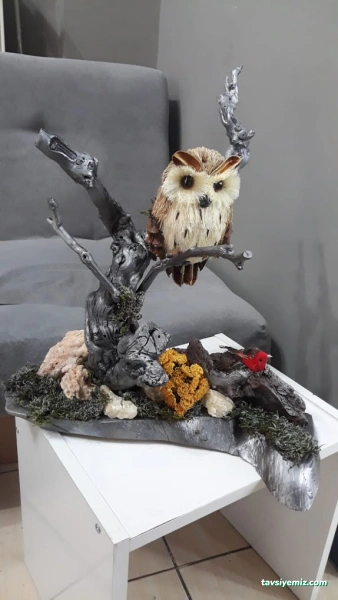 Konya Çiçek Dünyası