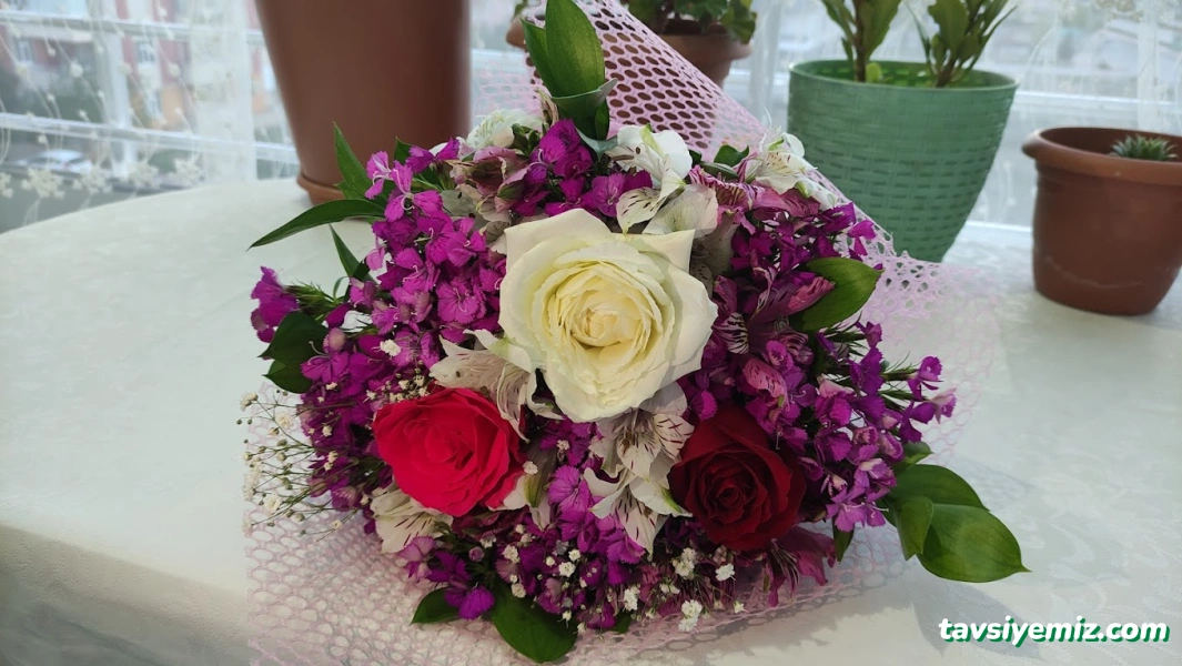 Konya Çiçek Dünyası