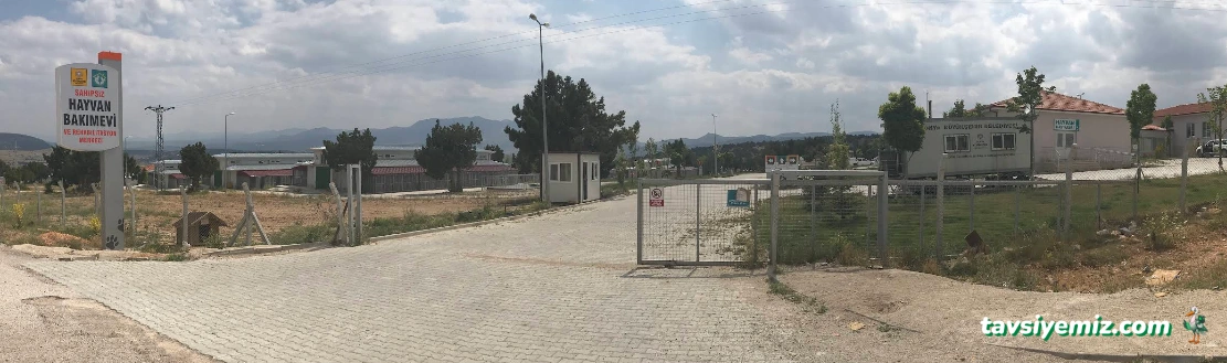 Konya Hayvan Barınağı (Geçici Bakımevi)
