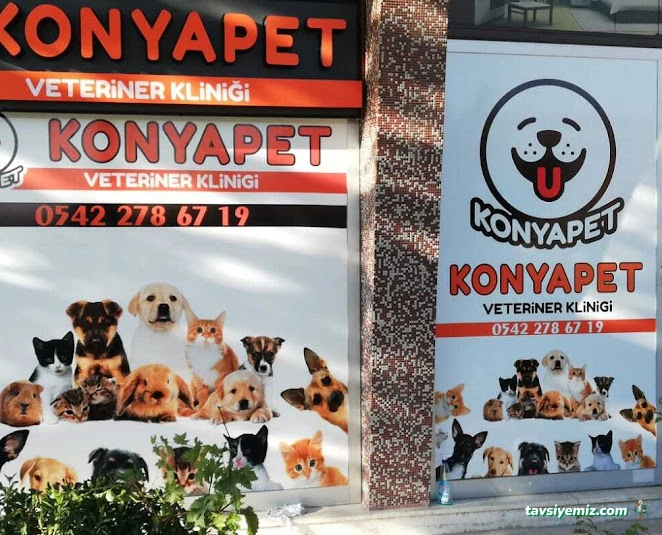 Konya-Pet Veteriner Kliniği. | Acil |Veteriner İlaç|Konya Veteriner | Nöbetçi Veteriner