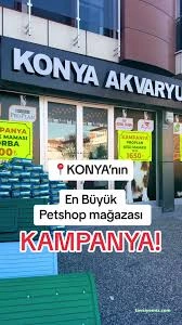 Konya Petshop
