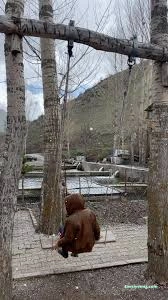 Koşat Alabalık Restoran