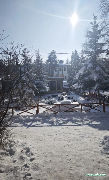 Köşk Aile Çay Bahçesi