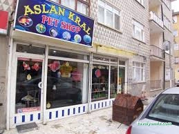 Kral Petshop , Akvaryum &Pethotel